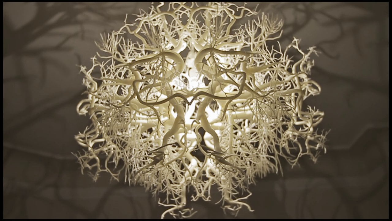 This image has an empty alt attribute; its file name is 443633768_1280x720.jpg