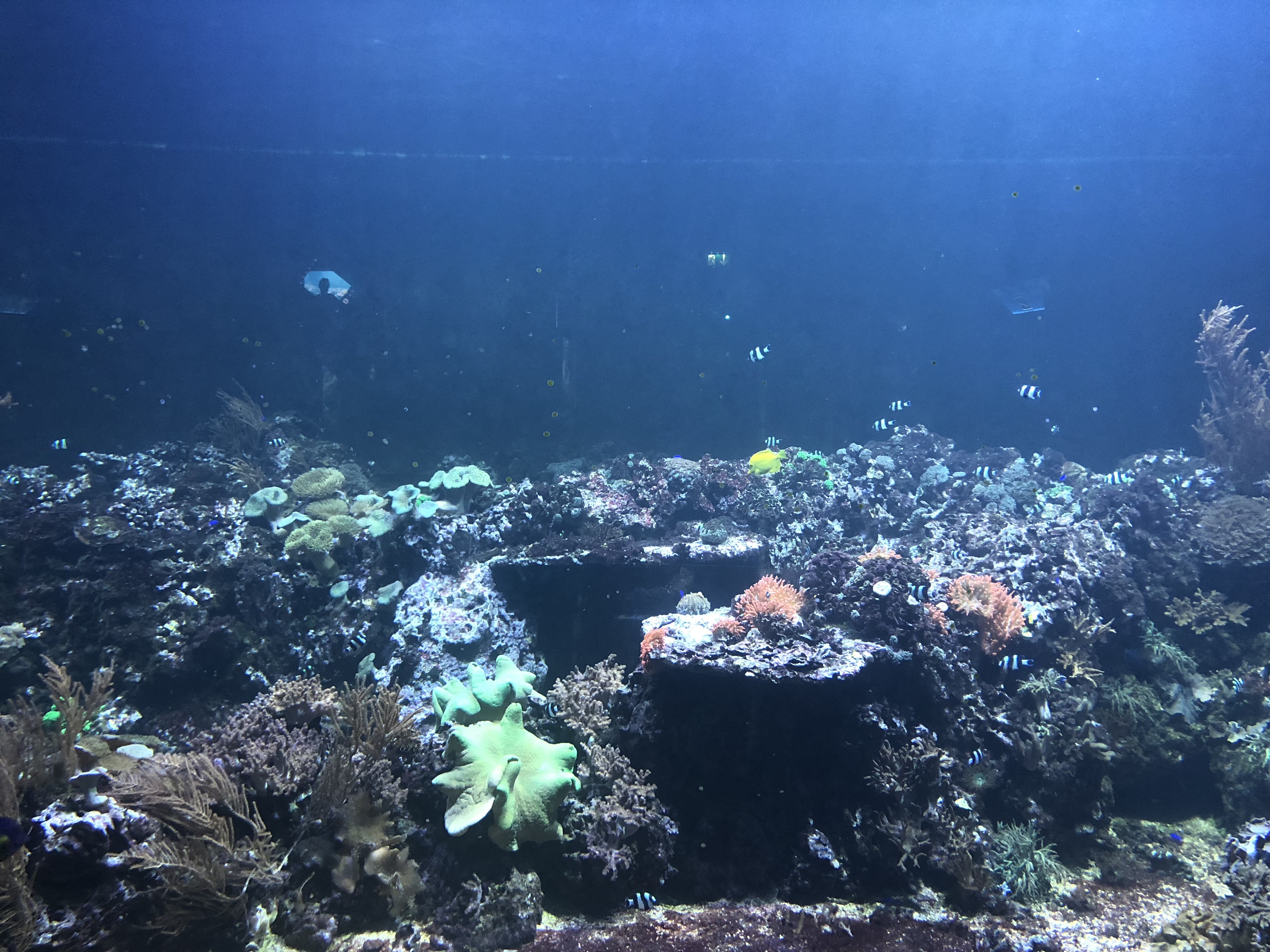 n37owpbutyecxauuqfxfya